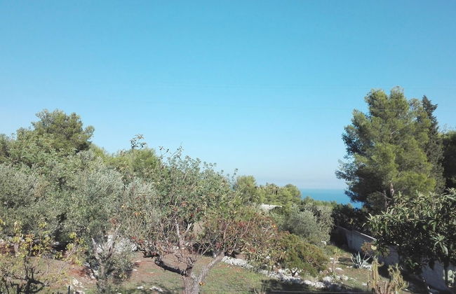 Villa Giulia - Foto 26