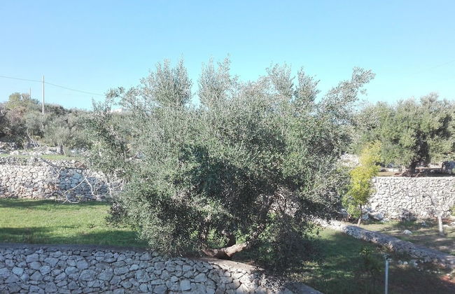Villa Giulia - Foto 23
