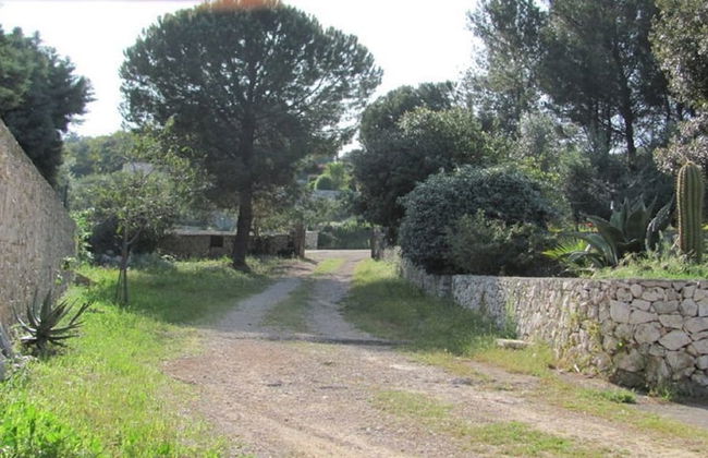 Villa Giulia - Foto 18