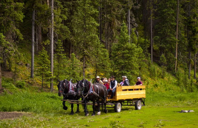 320 Guest Ranch - Foto 48