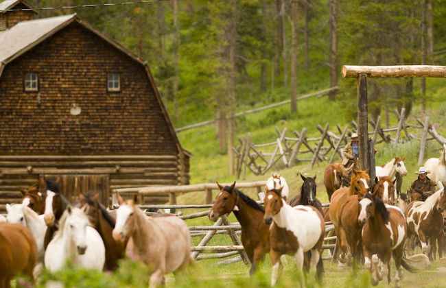 320 Guest Ranch - Foto 65
