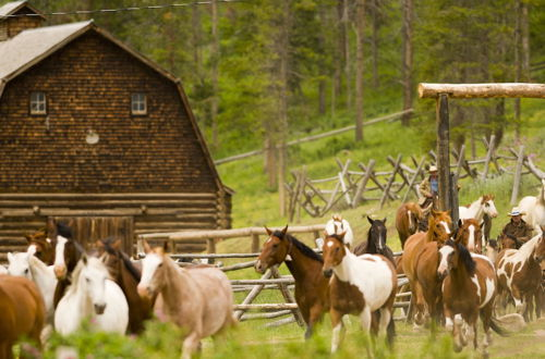 Photo 66 - 320 Guest Ranch