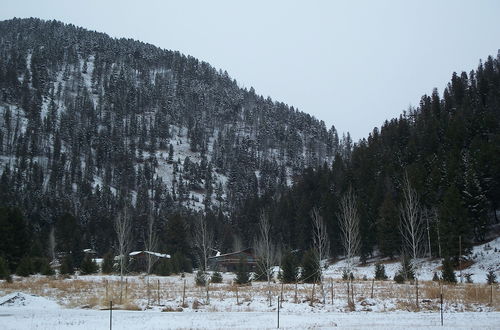 Photo 26 - Terra Nova Cabins