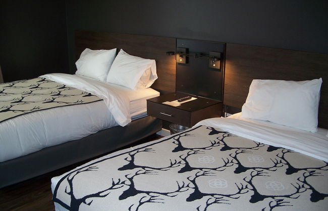 Terra Nova Cabins - Foto 10