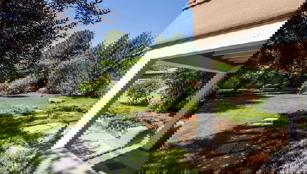 Primary image