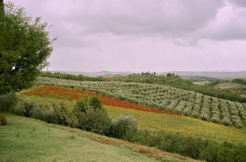 Photo 25 - Bibbiano - Il Fico