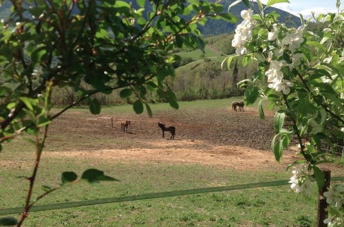 Photo 38 - Agriturismo Le Sorgenti