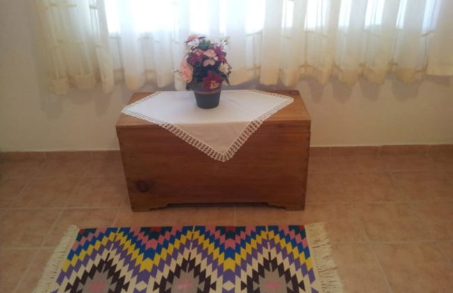 Dalyan Palace - Photo 17