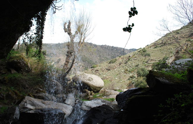 La Plazuela - Foto 25