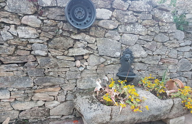 La Plazuela - Foto 23