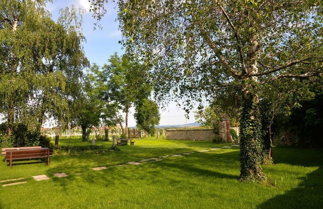 Agriturismo Magnarosa - Foto 28