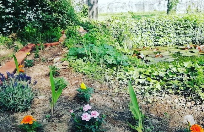 Agriturismo Magnarosa - Foto 26