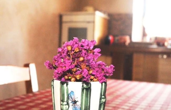 Agriturismo Magnarosa - Foto 19