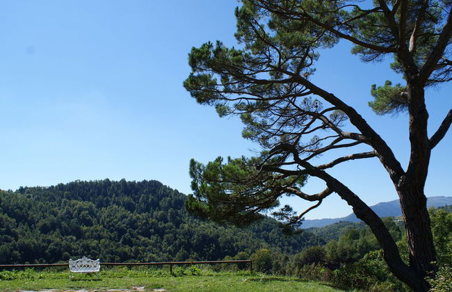 La Costa de Mollo - Foto 59
