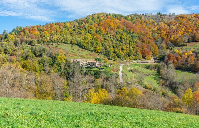 La Costa de Mollo - Foto 51