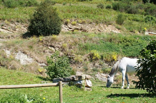 Photo 65 - La Costa de Mollo