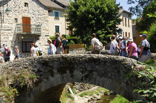 Photo 14 - VVF Haute Loire Saint-Julien-Chapteuil