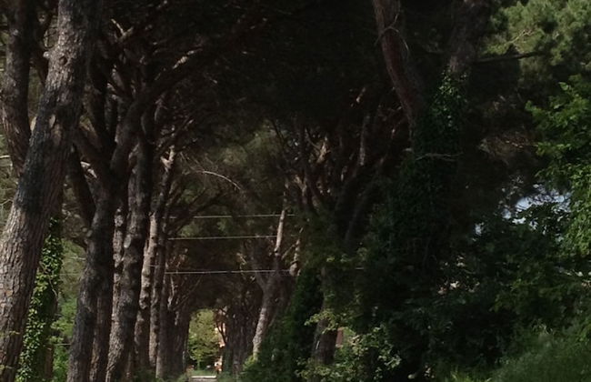 Agriturismo La Montagnola - Photo 4