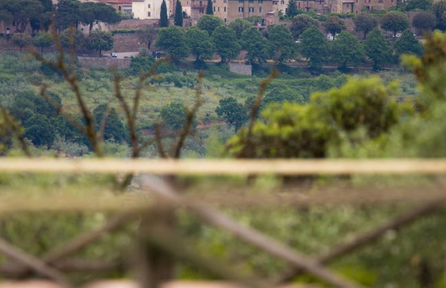 Agriturismo La Montagnola - Photo 138