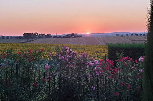 Foto 64 - Rosa dei Venti