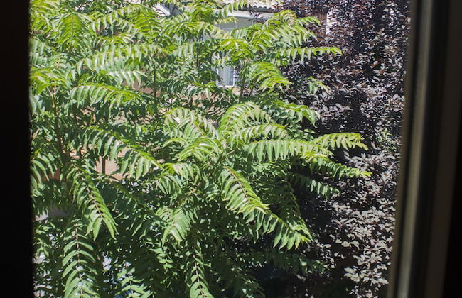 Nice Apartment in an English Style Building On the First Floor, With air Conditioning, Wifi and Sewing - Foto 19