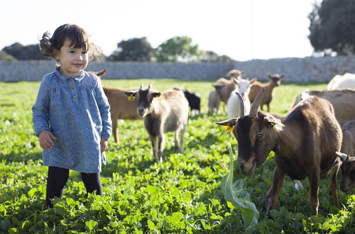 Photo 33 - Agroturismo Llucmaçanes Gran