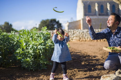 Foto 40 - Agroturismo Llucmaçanes Gran