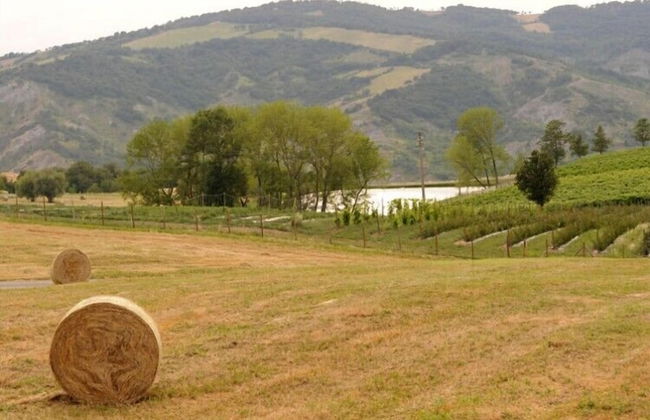 Pianderna Agriwellness - Photo 29