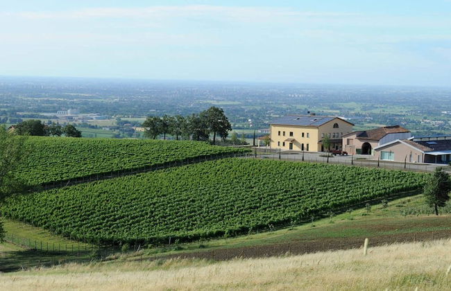 Pianderna Agriwellness - Photo 26