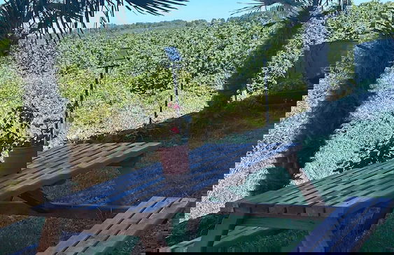 Cakil Apart - Foto 43