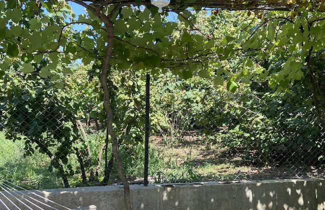 Cakil Apart - Foto 39