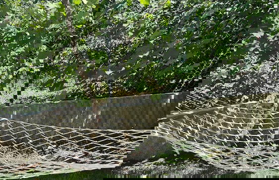 Cakil Apart - Foto 45