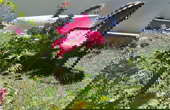 Cakil Apart - Foto 44