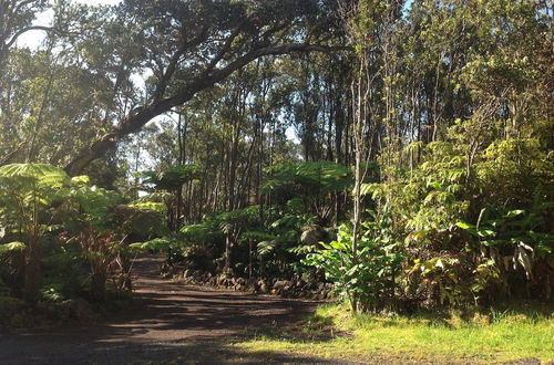 Photo 44 - Volcano Rainforest Lodge