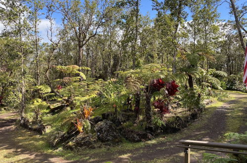 Photo 63 - Volcano Rainforest Lodge