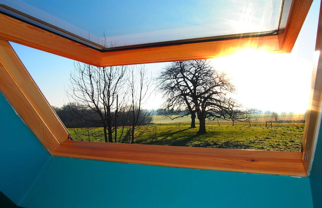Holiday Home With Terrace in Ellezelles - Foto 39
