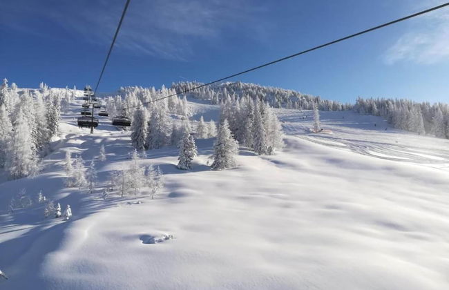 Apartment in Kleinarl Near Ski Lift - Foto 28