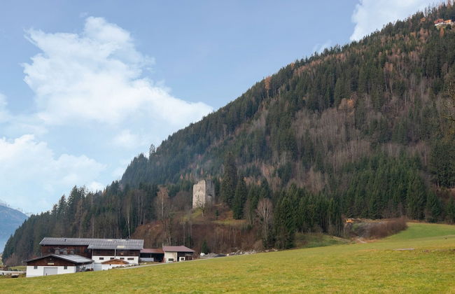 Apartment in Wald Near Zillertal Ski Slopes - Foto 29