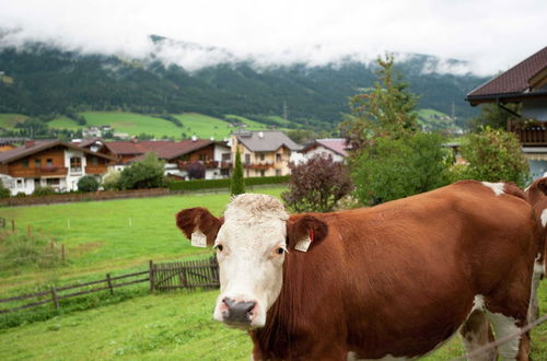 Photo 20 - Apartment in Altenmarkt in Pongau Near ski Area