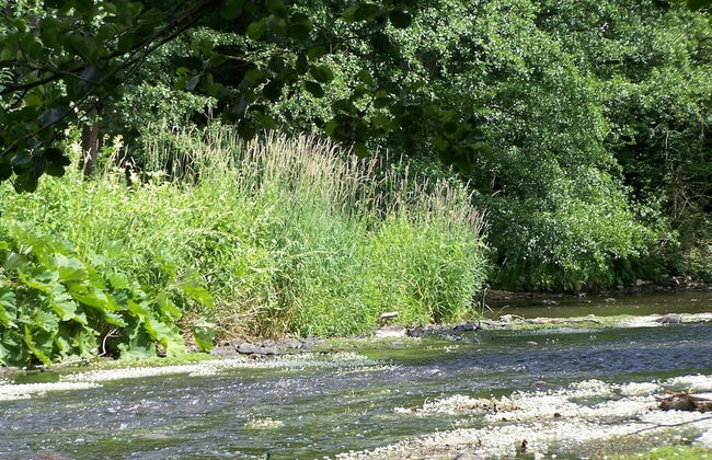 Well Kept Gite, Short Distance From the River and Forest - Foto 22