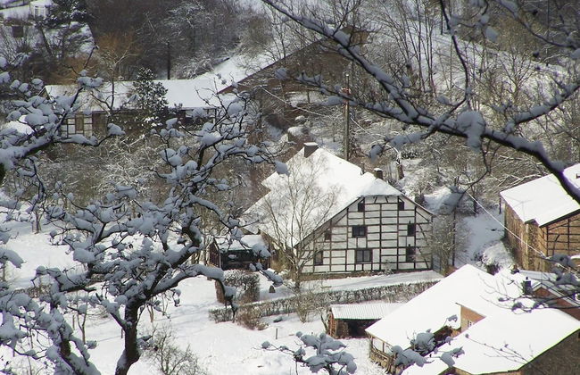 Well Kept Gite, Short Distance From the River and Forest - Foto 23