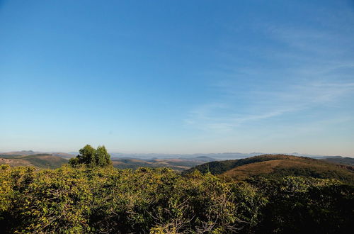 Photo 61 - VOA Mirante Do Café