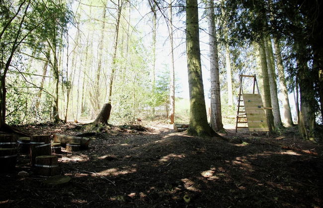 Spacious Pet-friendly Castle in Stavelot - Photo 21