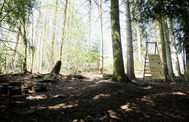 Spacious Pet-friendly Castle in Stavelot - Photo 34
