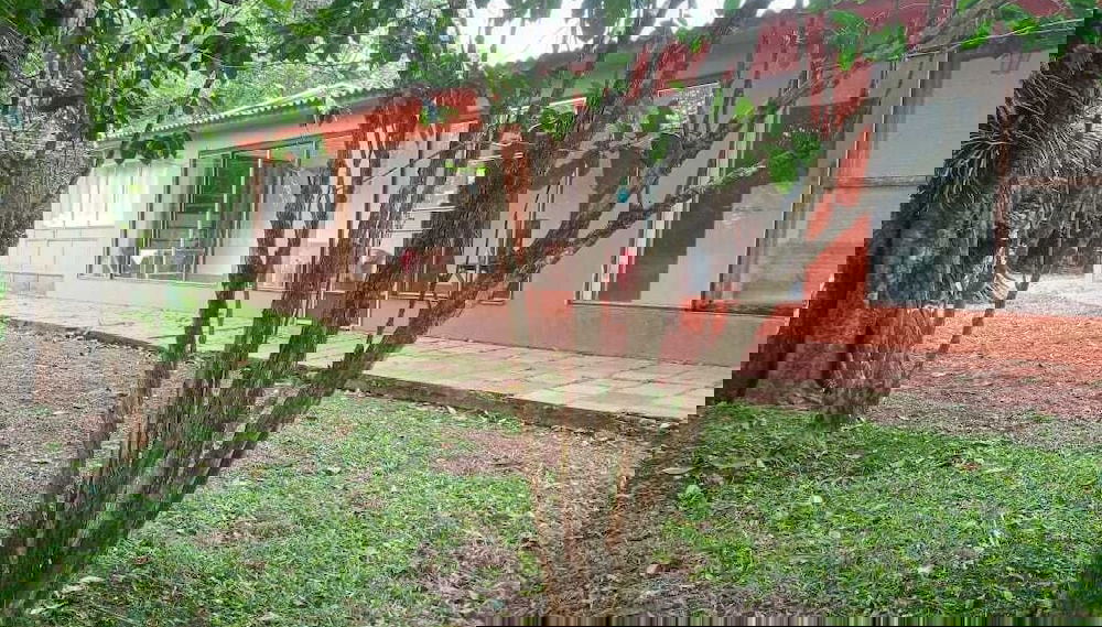 Imagem principal