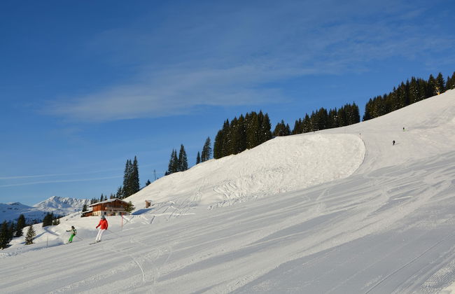 Alpine Premium Chalet Wallegg-Lodge - Foto 12