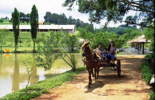 Hotel Fazenda Menino da Porteira - Foto 31