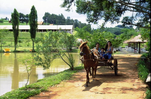 Photo 31 - Hotel Fazenda Menino da Porteira