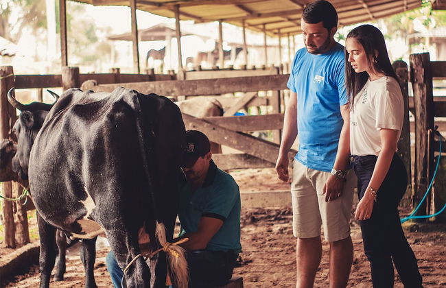 CONDOMÍNIO FAZENDA TRÊS TESOUROS - Photo 6