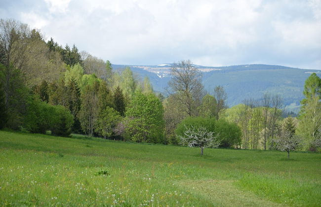 Retreat With Garden Views - Foto 19